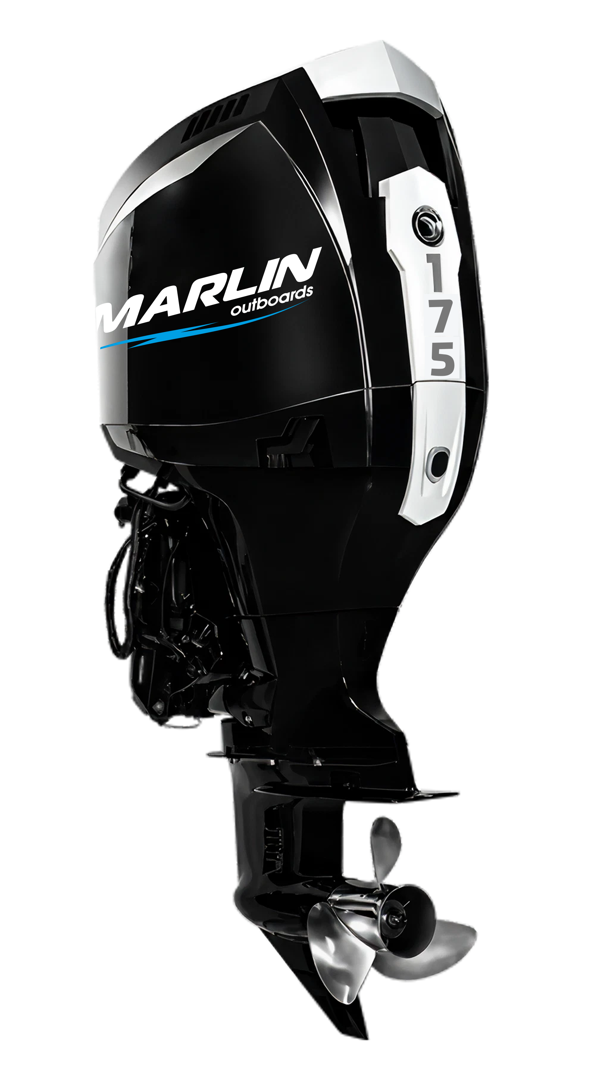Мотор MARLIN MFI 175 AERTX-DB